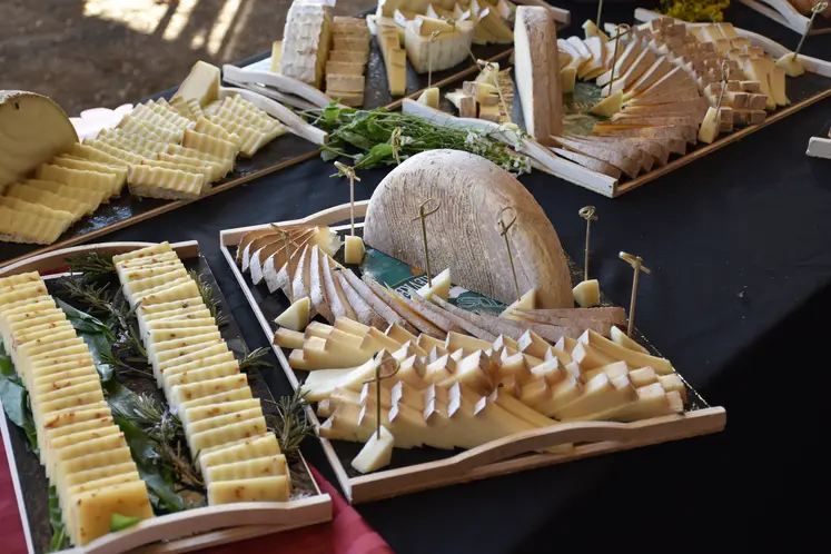 Un banquet de produits laitiers de brebis.