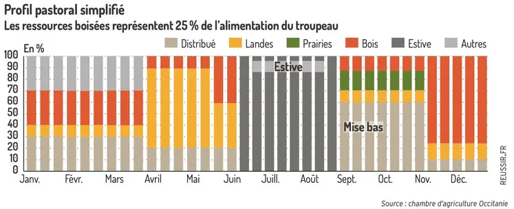 Profil pastoral simplifié de l'exploitation de Gaël Martin