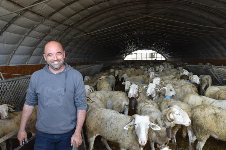 <em class="placeholder">Gaël martin, éleveur ovin pastoral, avec ses brebis sous un tunnel</em>