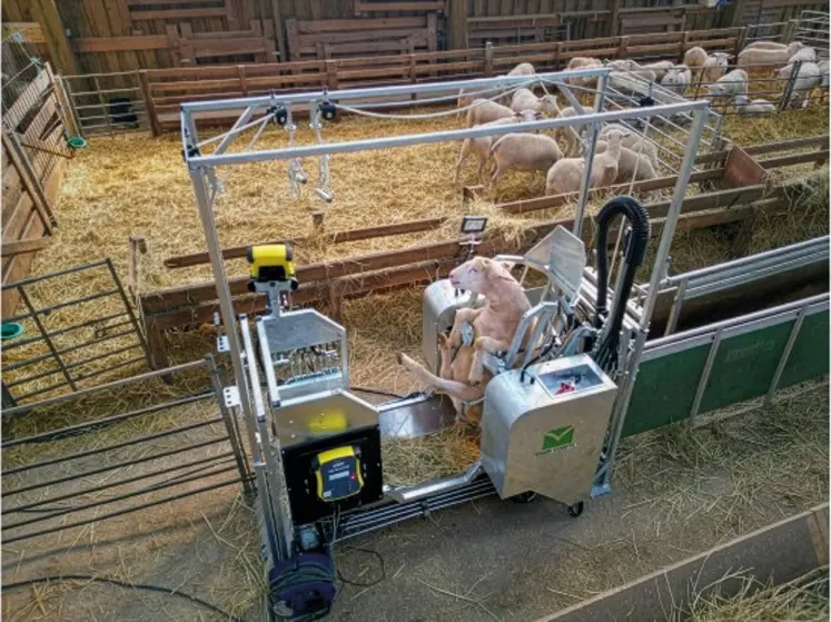 <em class="placeholder">Cage de retournement hydraulique où la brebis est assise</em>