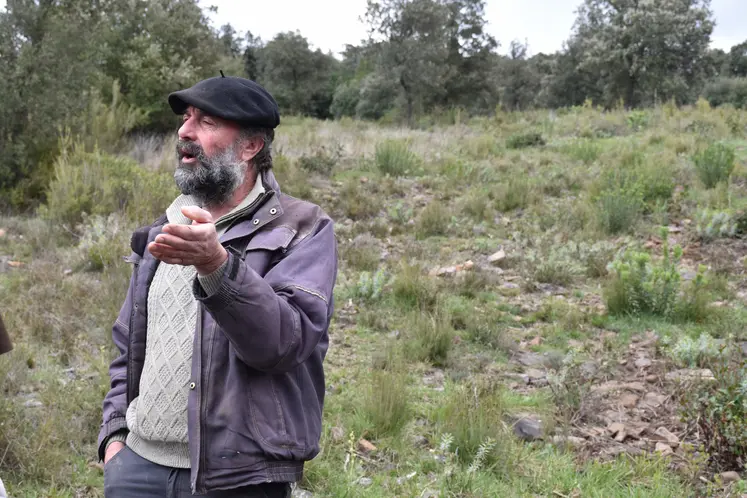 Frédéric Mazer, éleveur herbassier dans les Cévennes, dans un parcours boisé