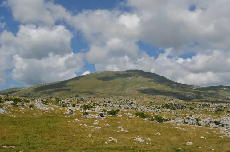 Ancienne estive de Kruzi au pied du mont Cincar (2 006 m) : plateau calcaire et pelouse sèche.
