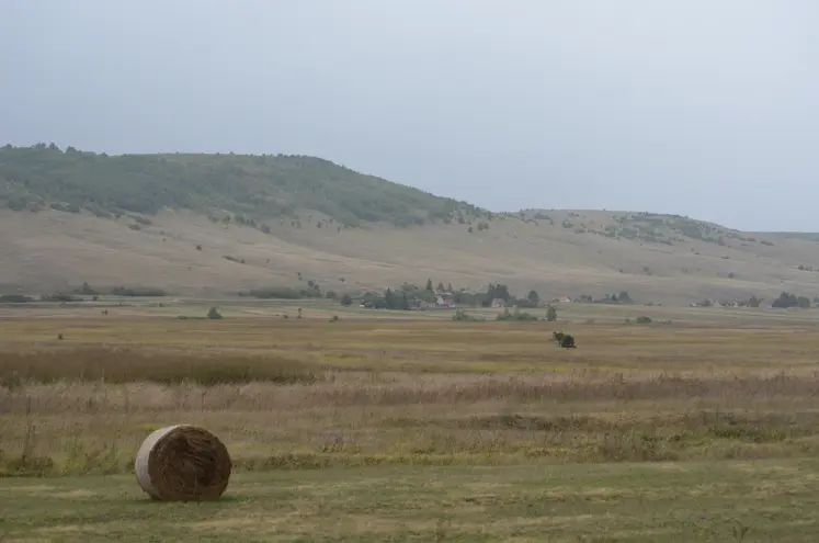 Prairies fauchées
