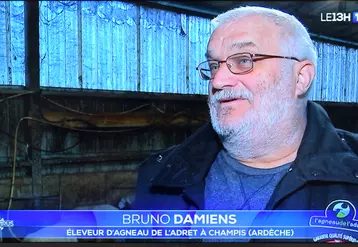Dans un reportage télévisé, Bruno Damiens a appelé les Français a consommé de l'agneau à Pâques.