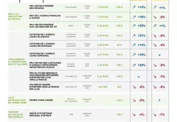 Indicateurs des prix de marchés de la filière ovine - novembre 2020