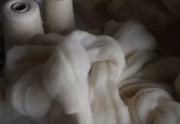 Les débouchés et secteurs d'utilisation de la laine sont très nombreux et la recherche va aider à valoriser les laines impropres au textile. © B. Morel