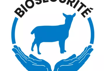 GDS FRance propose une grille pour connaître le niveau de biosécurité de son élevage ovin. © GDS France