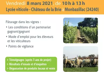 Le 8 mars 2021, de 10 h à 13 h au lycée viticole - Château La Brie à Monbazillac (24) © Brebis_Link