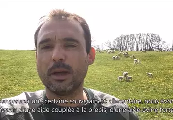 Dans les vidéos, les éleveurs expliquent les atouts de l'élevage ovin pour nos territoires et l'importance de l'aide ovine pour les éleveurs de brebis. © FNO