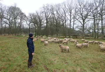 Pierre Crouigneau, double-actif, privilégie la conduite de son troupeau d'ovins aux travaux des champs, qu'il délègue à une ETA.