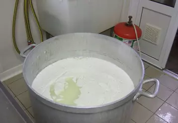 Le lactosérum peut être valorisé en parallèle de la fabrication de fromages.