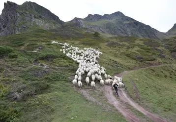 Le pastoralisme fait face à des défis tels que la formation et le recrutement de bergers, ou le partage de l'espace entre usagers de la montagne.