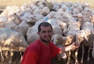 Anthony Aurelle, éleveur de 390 brebis allaitantes en Haute-Loire, cherche des solutions pour pallier à son manque de surface de pâturage.