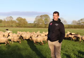 Nicolas Paillier a mené une réflexion globale pour pouvoir produire des agneaux 100 % herbe toute l’année.