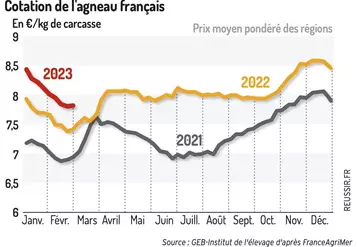 Le cours de l’agneau français termine sa baisse saisonnière