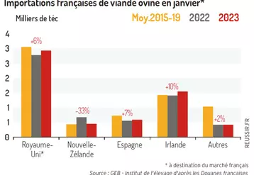 Les importations françaises de viande ovine progressent plus modérément début 2023