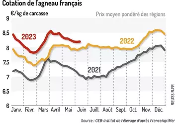 Le cours de l’agneau français ralentit sa baisse saisonnière