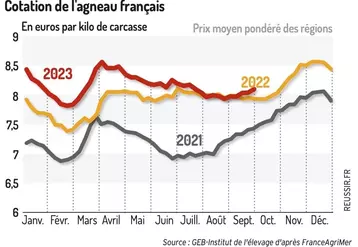 Le cours de l’agneau français repart à la hausse sous l’effet d’une offre inférieure à la demande