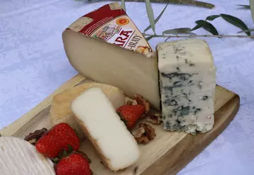 16 % des fromages affinés et les trois quarts des AOP produits en France sont au lait cru.