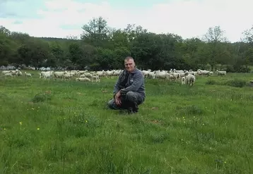 Fabien Paris, 52 ans, est éleveur de 300 brebis allaitantes dans l'Allier. Il a revu son système agronomique et zootechnique pour gagner en autonomie alimentaire et ...