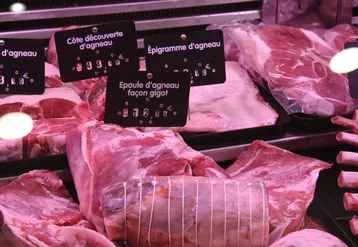 La viande ovine de boucherie a été davantage consommée de 2,4 % en 2022, tirée par la restauration hors domicile.