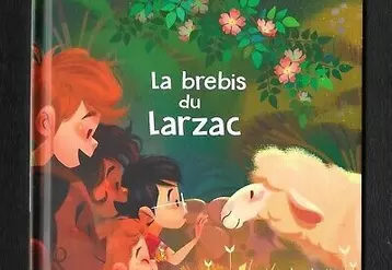 La brebis du Larzac