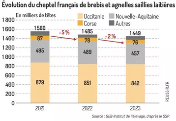 Graphique : Évolution du cheptel français de brebis et agnelles saillies laitières ©GEB-Institut de l'élevage, d'après le SSP
