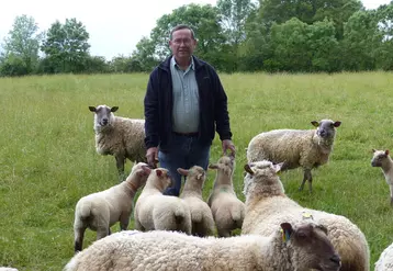 Gérard Leguay au milieu de ses agneaux