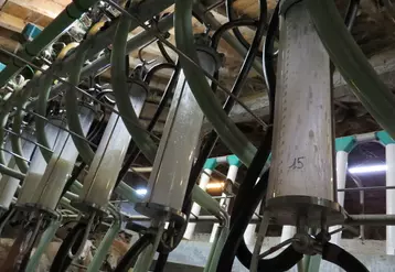 Compteurs à lait individuels en salle de traite de brebis laitières.