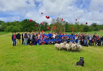 Les 28 candidats et leurs accompagnants représentaient la France, l'Espagne, le Royaume-Uni, l'Irlande, la Belgique, l'Arménie, le Bénin, le Togo, la Côte-d'Ivoire, ...