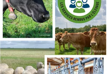 22 fiches sont prévues par la CNE pour communiquer sur les aménités positives de l'élevage de ruminants.