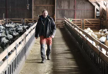 Installé dans le Puy-de-Dôme, Richard Randanne est en zone à risque de pullulation de campagnols terrestres. Il s'est investi dans la lutte collective et la prévention.