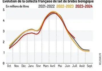 <em class="placeholder">Graphique : Évolution de la collecte française de lait de brebis biologique © GEB-Institut de l&#039;élevage, d&#039;après FranceAgriMer</em>