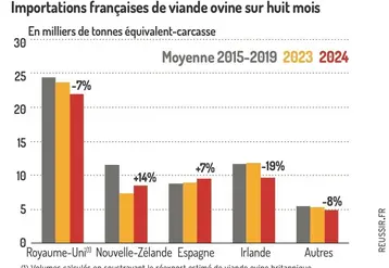 <em class="placeholder">Graphique : Importations françaises de viande ovine sur huit mois@GEB-Institut de l&#039;élevage, d&#039;après les Douanes françaises</em>