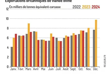 <em class="placeholder">Graphique : Exportations britanniques de viande ovine©GEB-Institut de l&#039;élevage, d&#039;après HMRC</em>