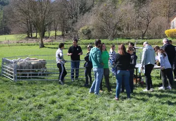 <em class="placeholder">Atelier nouvelles technologies à la journée technique ovine de Carmejane, le 27 mars 2025.</em>