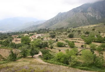 <em class="placeholder">Paysage de Corse</em>