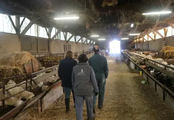<em class="placeholder">Conseiller en élevage ovin avec les éleveurs</em>