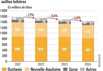 <em class="placeholder">Graphique : Recul du cheptel de reproductrices ovin lait fin 2024©GEB-Institut de l’élevage, d’après le SSP(enquêtes de novembre)</em>