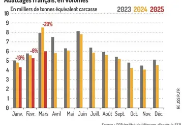 <em class="placeholder">Graphique : La production abattue diminue au 1er trimestre 2025©GEB-Institut de l’élevage, d’après le SSP</em>