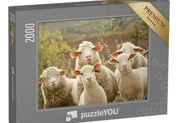 <em class="placeholder">Puzzle moutons curieux PuzzleYou</em>