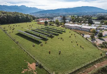 Ferme agrivoltaïque expérimentale de Voltalia dans les Alpes.