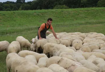 <em class="placeholder">Eleveur qui surveille son troupeau de brebis laitières</em>