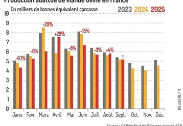 <em class="placeholder">Graphique : Production abattue de viande ovine en France©GEB-Institut de l'élevage d'après le SSP</em>