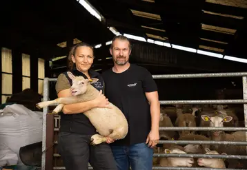 <em class="placeholder">Nans et Céline Marcel ont choisi la race Romane au moment de leur installation en 2024 sur 40 ha de SAU.</em>