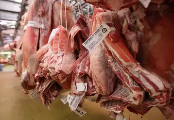 Des carcasses d'agneaux au marché de Rungis.