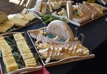 Un banquet de produits laitiers de brebis.