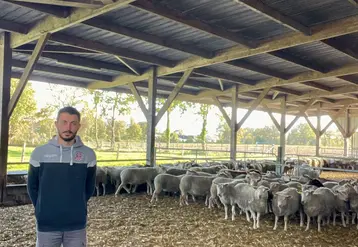Un éleveur se tient dans une bergerie.