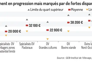 Des revenus globalement en progression mais marqués par de fortes disparités.