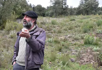 Frédéric Mazer, éleveur herbassier dans les Cévennes, dans un parcours boisé